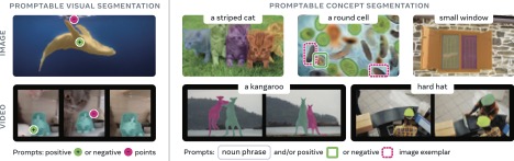 SAM 3 segmentation examples